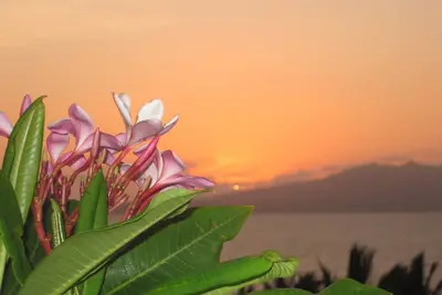 Image de Encore disponible pour 2016 Noël! Penthouse de Prestige avec piscine privée