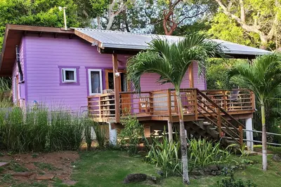 Image de Ocean Palms Bungalow 1 chambre