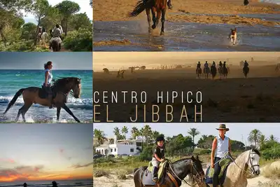 Image de Chalet confortable avec une vue magnifique sur la plage allemande. Wifi