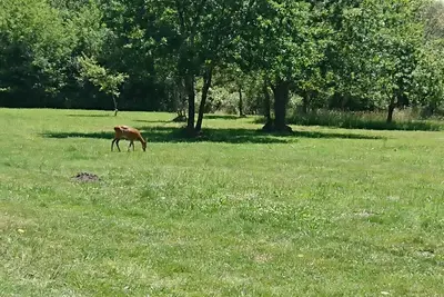 Image de Pur nature and beach