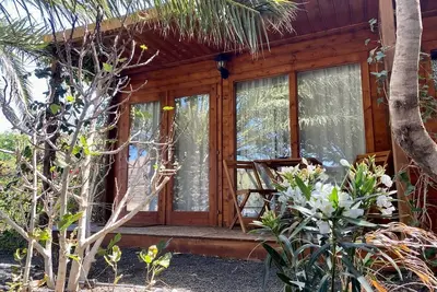 Cabin in the middle of nature