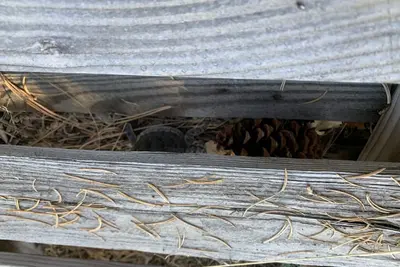 Image de Log cabin that is private