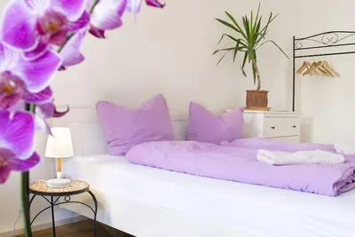 Image de Apartment with three bedrooms