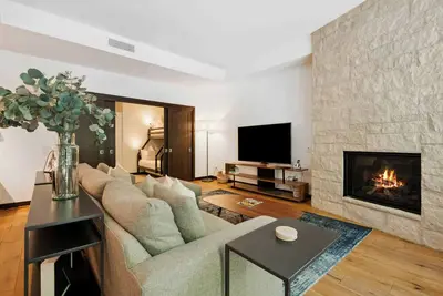 Image de The Lion E101