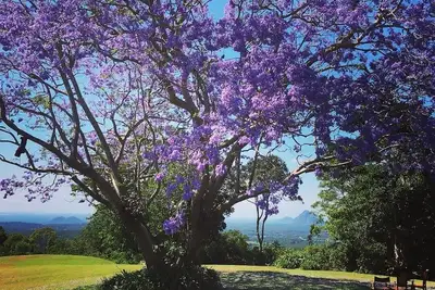 Image de Maleny - 3 bedroom house with Outstanding Sunshine Coast Hinterland Views