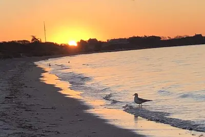 Image de Newly renovated Cottage Across the street from Craigville Beach.