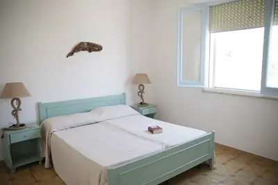 Image de Apartment Whale