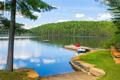 Image de This Is The One You’ve Been Looking For