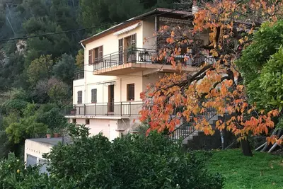 Image de Deux pièces spacieux en rez-de-jardin dans villa