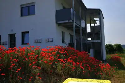 Image de Lovingly furnished, new building