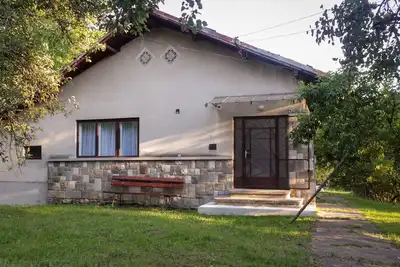 Casa rurala cu livada si padurice
