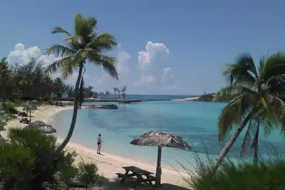 Mermaids with great views of the Atlantic Ocean