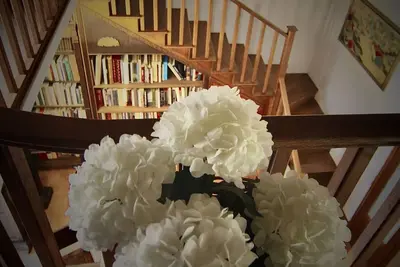 Image de Sleeping among history in the center of Orvieto