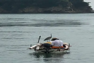 Image de GuesthouseYadokari / Imabari Ehime