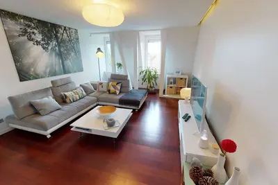 Image de quai koch 90m2 city center 3br