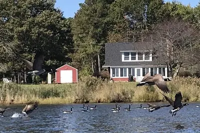 Image de Waterfront Getaway- Charming Waterfront Cottage on St Clements Bay