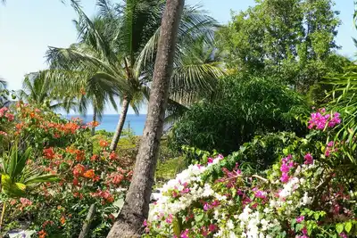 Gite  Colibri Vue Mer - Acces Direct Plage - 80 M