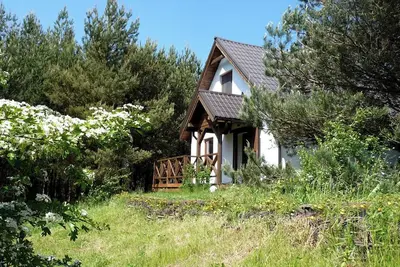 Cottage in a Pine Forest - In quiet greenery