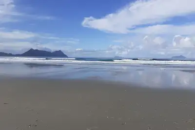Image de Perfect Summer Bach