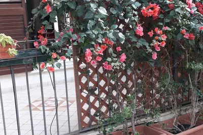 Image de Casa dolce casa