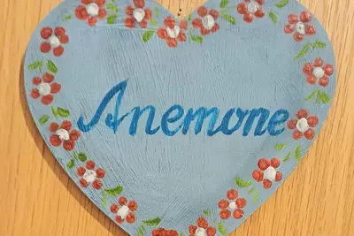 Image de Holiday apartment Anemone - holiday home farm Bogstlhof