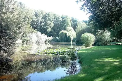 Image de Au bord de l'eau