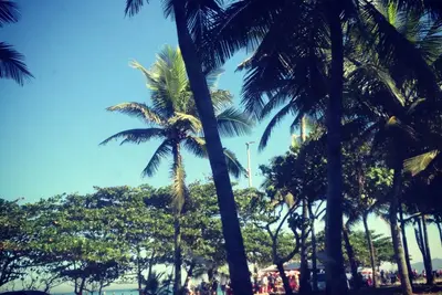 Image de Excellent apartment for rent in Barra da Tijuca