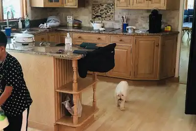 Image de Cozy Retreat surrounded by Wine Country and Beach Sunsets