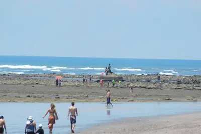 Image de Great For Couples & Snowbirds - Lovely Home -\nINCREDIBLE Beach - Pool - Patio \n