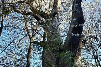 Image de Ferienwohnung Steffens - apartment/apartment, bathroom, Wc, 1 bedroom