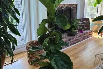 Image de Roswell Dreamhome