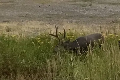 Image de Backcountry Paradise