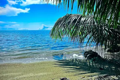 Image de Belize Bay Estate - private estate on the Caribbean shore.