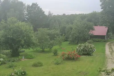 Image de Enjoy the peace of the Latvian nature