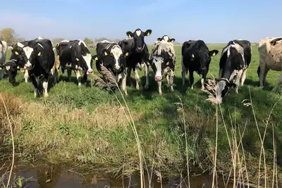 Image de Fehnhaus an der Kuhweide 45236 - Fehnhaus an der Kuhweide