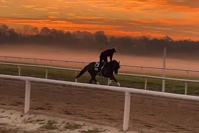 Image de Blue Barn Lodge_ Unit 3: Horse Viewing Lodge