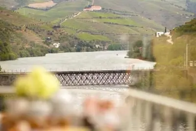 Image de Apt à Pinhão région viticole du Douro vue sur les vignobles et le fleuve Douro.