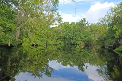 Image de Waterfront Cottage on the scenic Aucilla River.