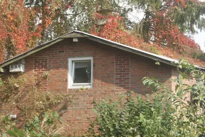 Image de The country cottage. Vacation with dog in a cottage with fenced garden.