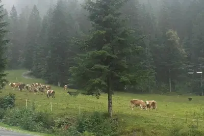Image de Valnegra: Relaxant vacances avec des vues à couper le souffle Valbrembana