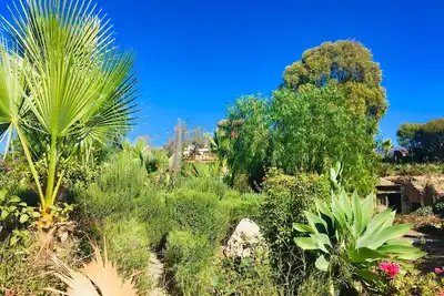 Image de \"Tenerife Nature Retreat\"