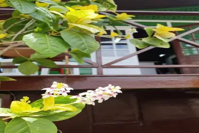 Image de Suite Dupla Fernando De Noronha