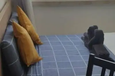 Image de Cozy 5 Star Bed&Sea View in CityCentre-Netflix★23