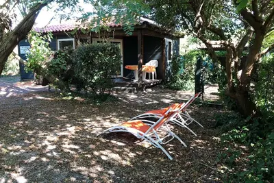 Image de locations proche océan commerces avec jardin clos arboré pour famille ou autres.