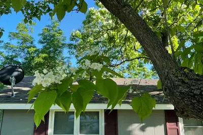 Cozy Cottage - Breakfast (continental) Kayaks, Bikes Complimentary