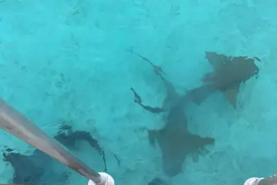 Image de Relax on your own personal trawler