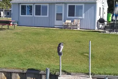 Image de Direct silver lake lakefront3 bedroom cottage