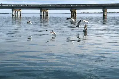 Image de Waterfront Big Pine Key Paradise