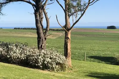 Image de Twelve Apostles Ocean View