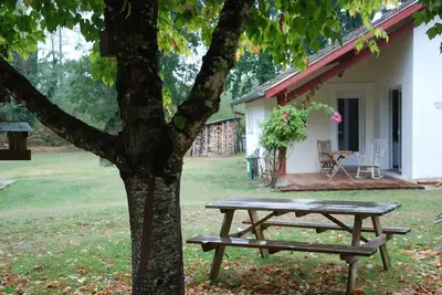 Image de A l'ombre des grands chênes ou devant un beau feu de bois